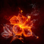 best-love-spells-types