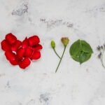 binding-love-spells