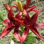 lost-lover-love-spells-in-salinas-california-1
