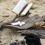 lost-lover-love-spells-in-san-bernardino-california